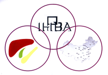 Chinese Chapter of IHPBA Meeting