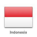 Thumbnail for IHPBA Indonesia Chapter Meeting