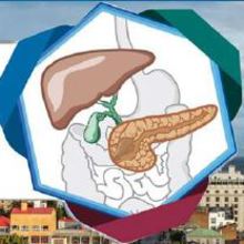 5th Meeting of the IHPBA Chilean Chapter