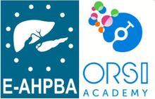 E-AHPBA Level 2 Robotic Course on HPB Surgery