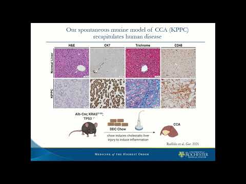 SYM15: Basic Science in Liver Surgery