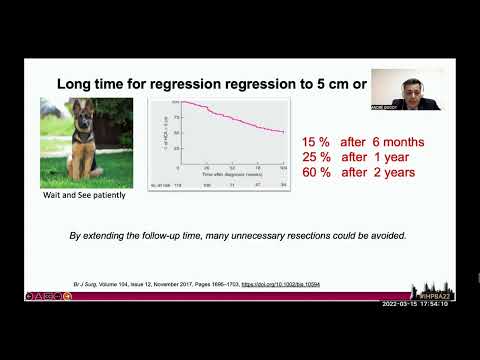 DEB17: Hepatic Adenoma: Time for Expanding the Conservative Management? Yes/No